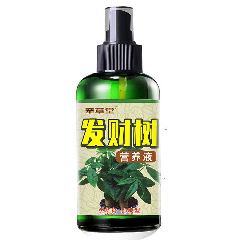 发财树营养液