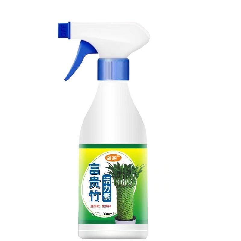 垄颖凤尾竹活力素