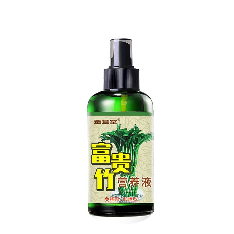 富贵竹营养液