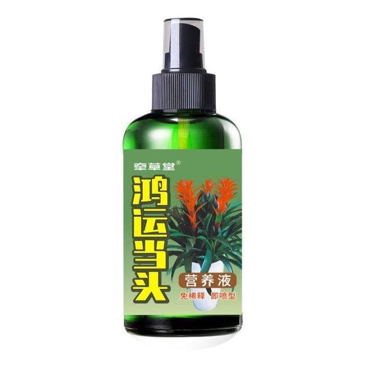 鸿运当头营养液