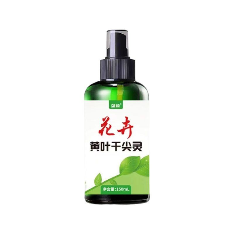 花卉黄叶干尖灵
