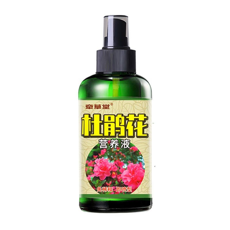 杜鹃花营养液