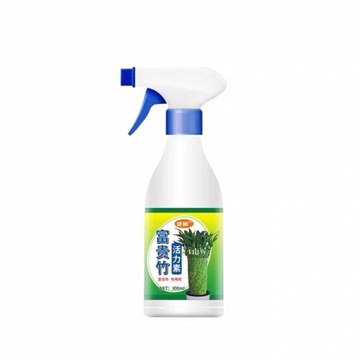 垄颖富贵竹活力素