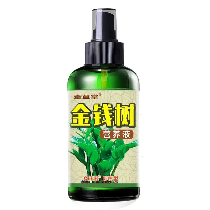 金钱树营养液