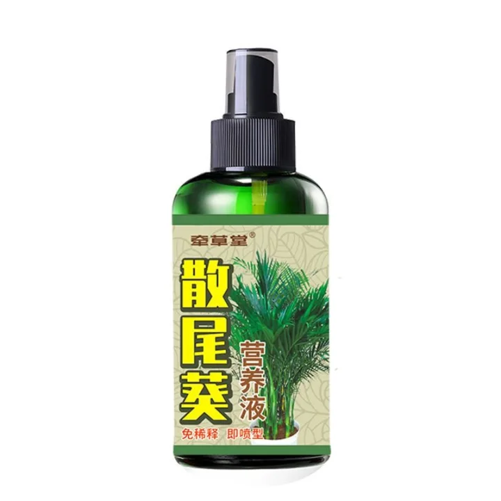 散尾葵营养液