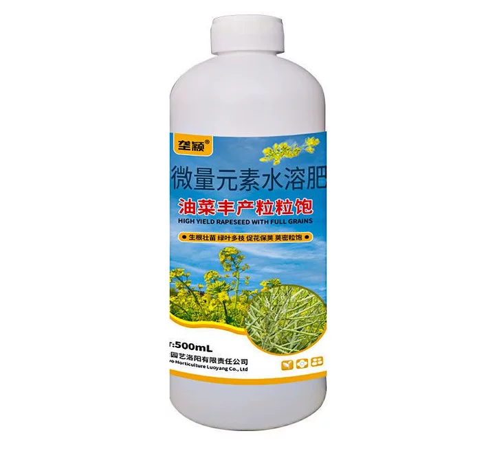 垄颖油菜丰产粒粒饱