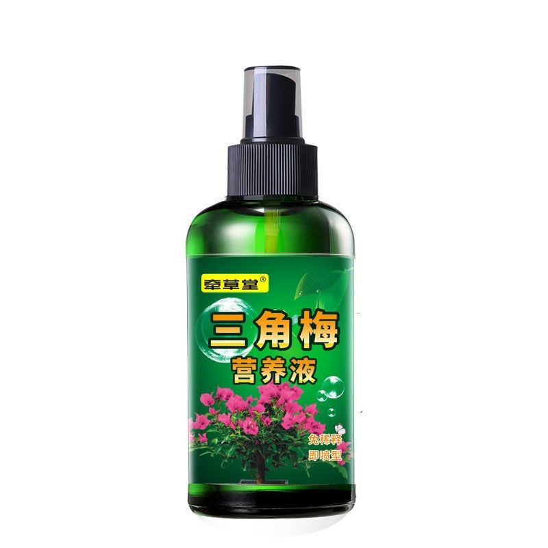 三角梅营养液