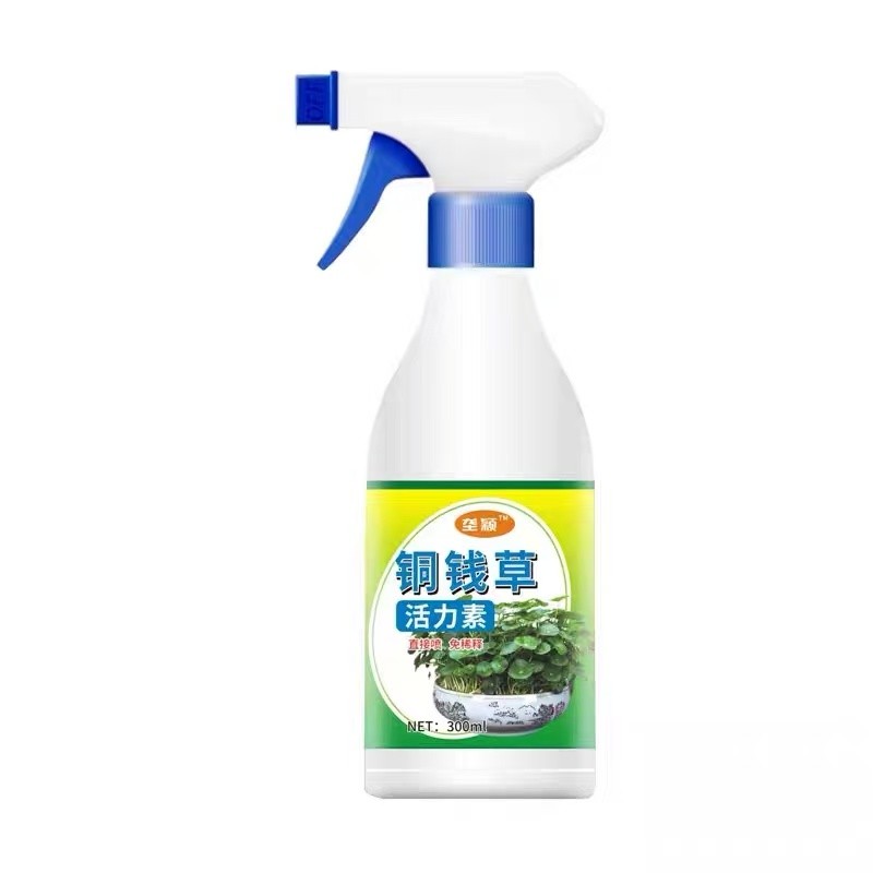 垄颖铜钱草活力素