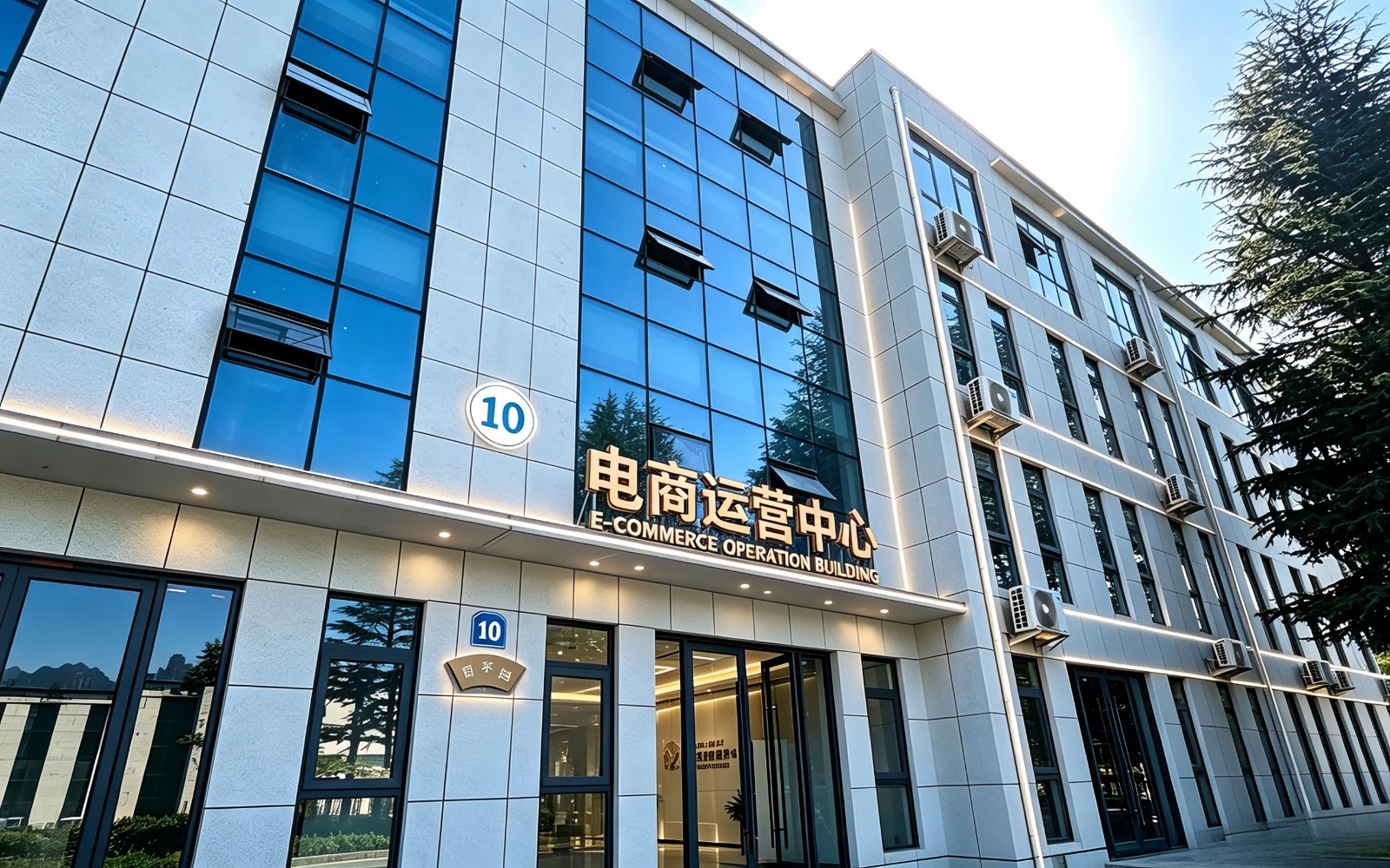 发展历程