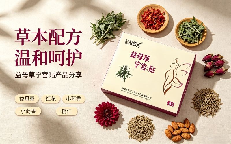 女生子宫养护好物|这款益母草宁宫贴真的很贴心