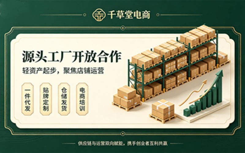 想做电商创业?一站式合作方案给到你