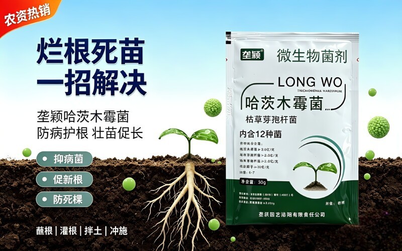 解决重茬烂根!实测好用的哈茨木霉菌菌剂