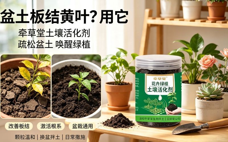 牵草堂花卉绿植土壤活化剂|养花改良盆土好物