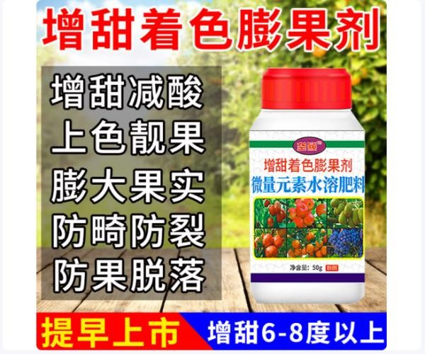 正值果实转色期,面临上色不均、甜度不够、客商压价等难题的果农