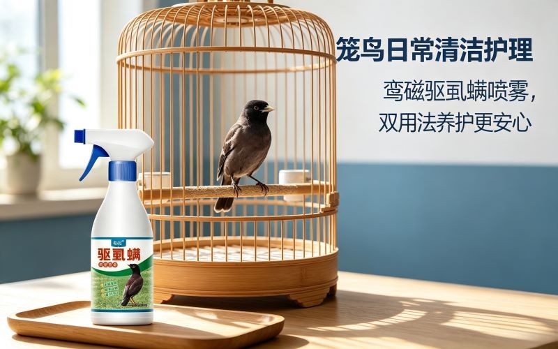 爱鸟体表清洁护理,鸾磁驱虱螨鸟用喷雾养护更安心