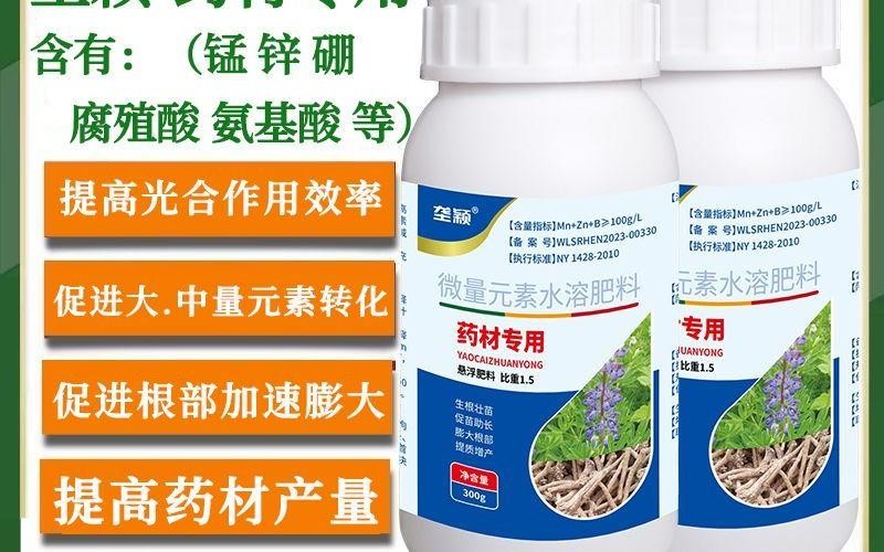 脾胃不适反复频发,日常脐部温和养护小知识