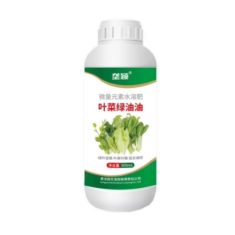 叶菜绿油油