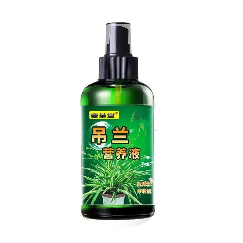 吊兰营养液