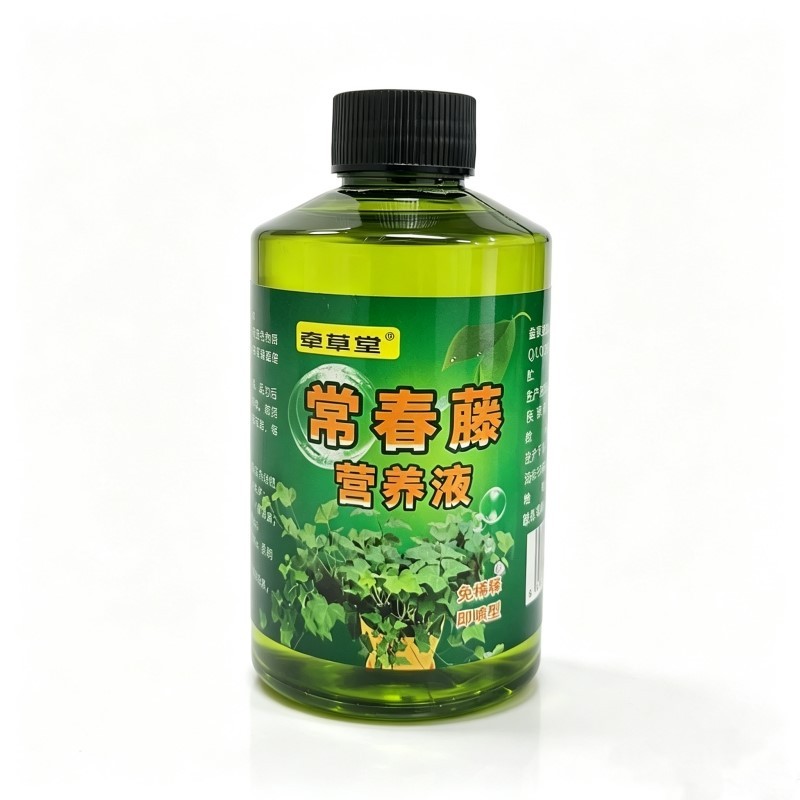 常春藤营养液