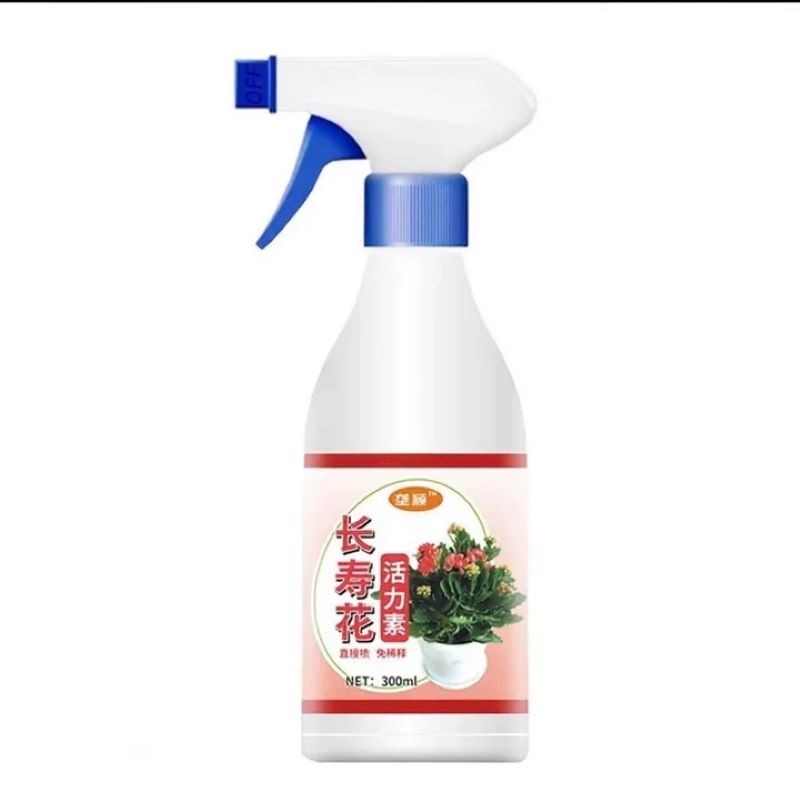 长寿花活力素