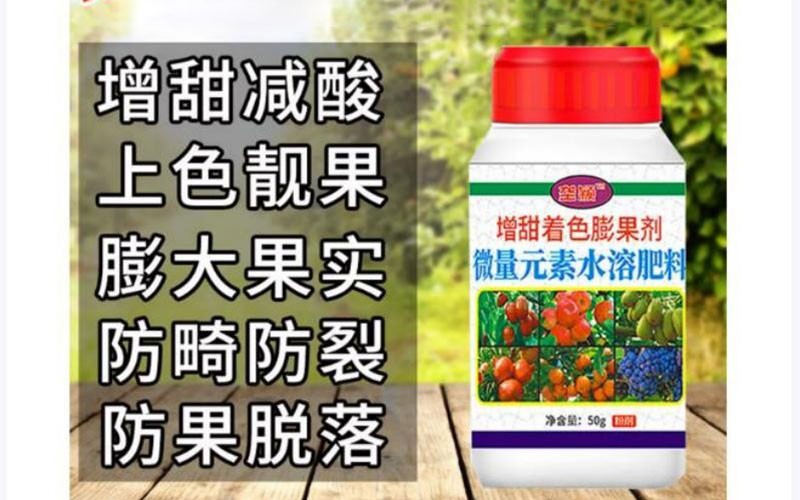 正值果实转色期,面临上色不均、甜度不够、客商压价等难题的果农