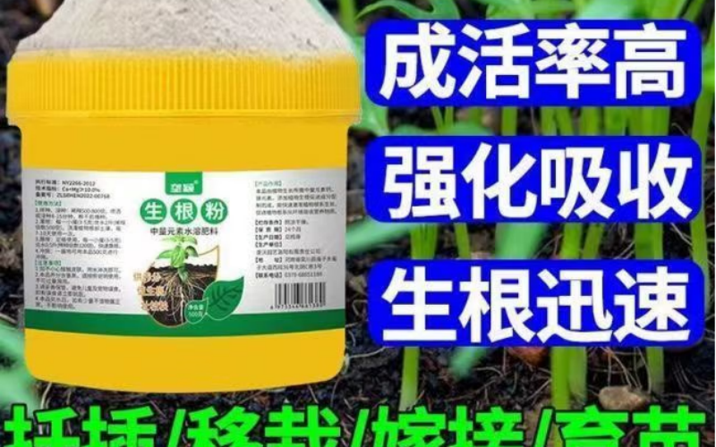 唤醒根系活力，让移栽扦插“赢在起跑线”
