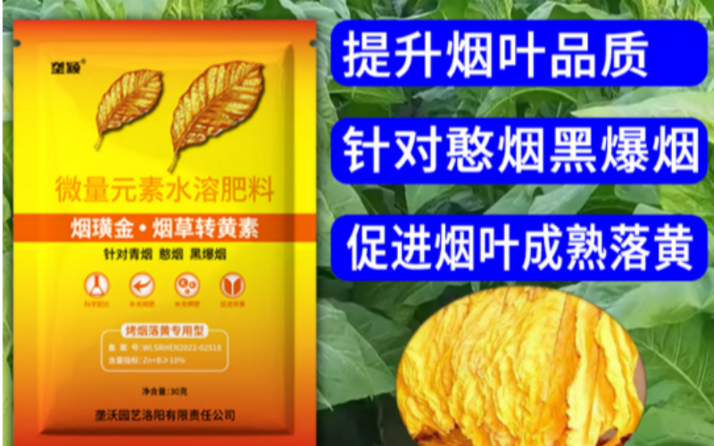 点亮烟叶“黄金甲”，烤出丰收真财富！