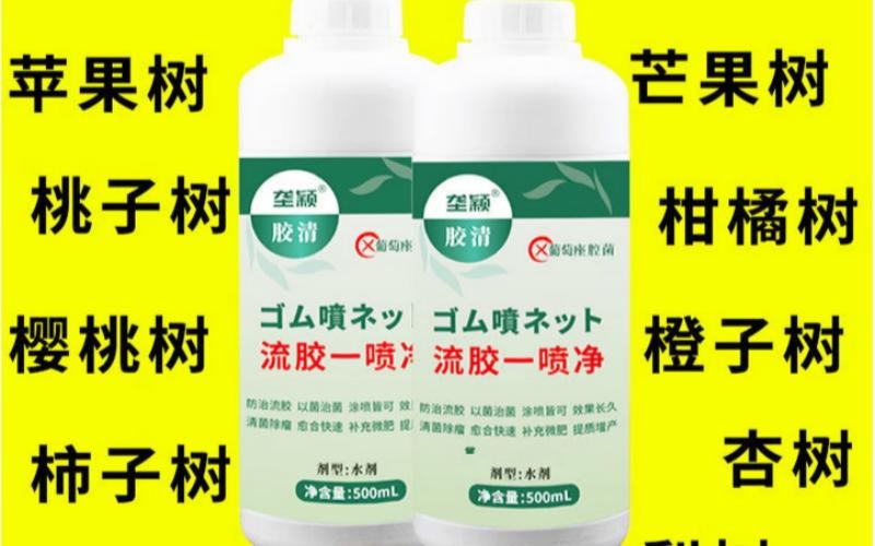 告别果树流胶,一喷即净!垄颖胶清,守护果园健康与丰收