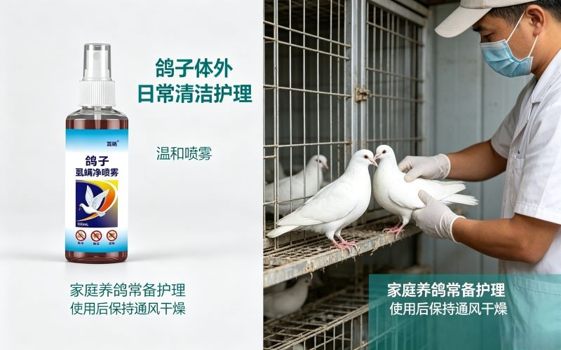 嵩晴鸽子虱螨净喷雾|赛鸽家鸽体外日常清洁护理