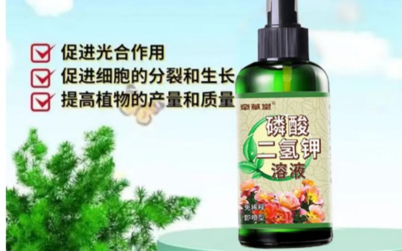 唤醒植物生机,让绿意触手可及