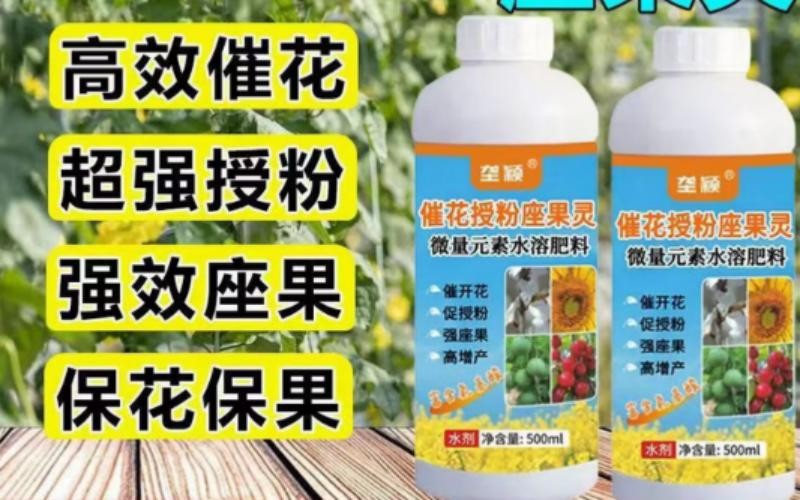 垄颖催花授粉坐果灵:科技赋能,让每一朵花都结出丰收果