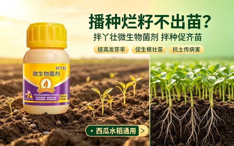 种子烂籽不出苗?拌丫壮拌种菌剂,出苗齐根系壮