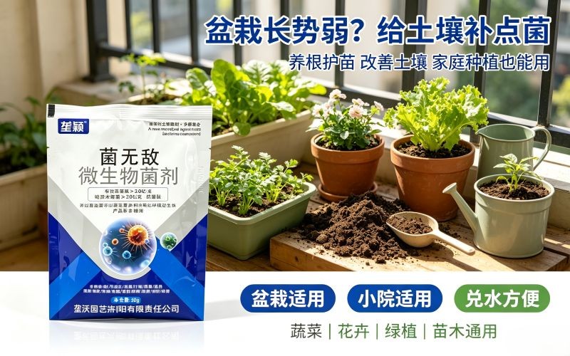 家庭盆栽总烂根?这款微生物菌剂居家养花种菜超好用