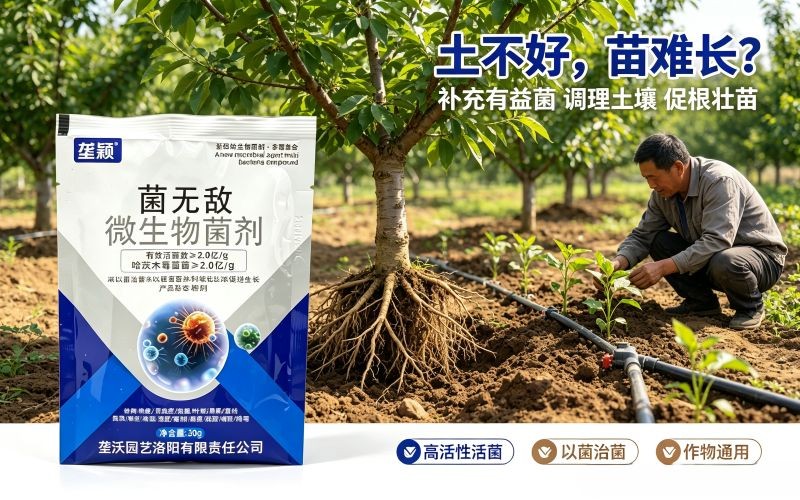 用好有益菌,从根源减少作物烂根难题|菌无敌菌剂