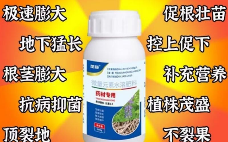 科技赋能,重塑中药材高产优产新标杆