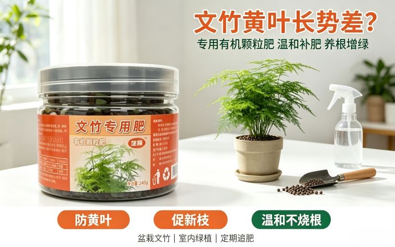 文竹总黄叶长势差？这款专用有机肥真的好用