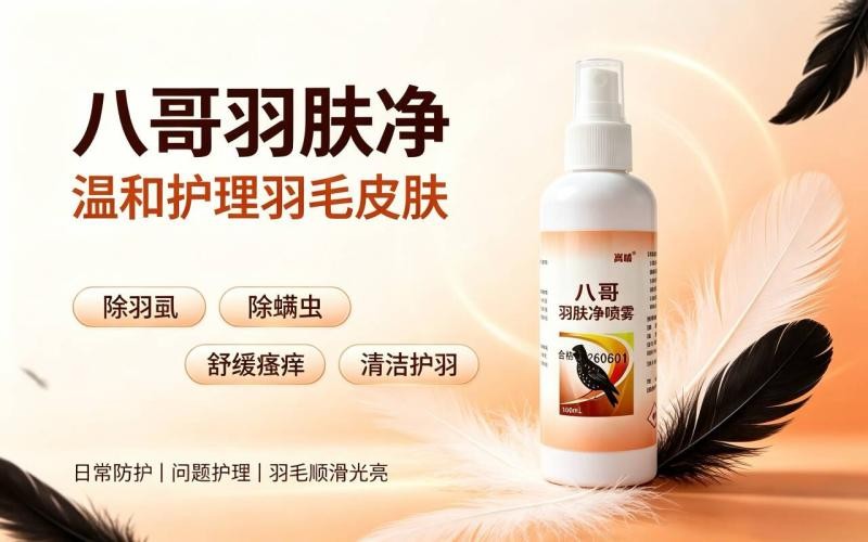 呵护八哥羽毛皮肤,远离羽虱螨虫困扰