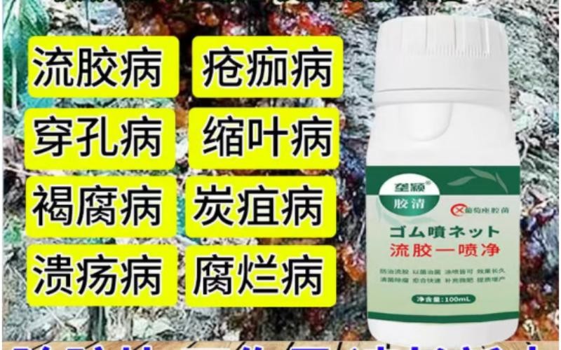 垄颖流胶一喷净:果树流胶“终结者”,一喷止胶,护树增产!