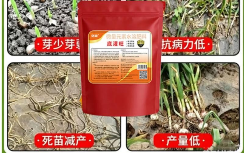 垄颖微量元素水溶肥料底灌旺:给作物根系喝上“营养特饮”