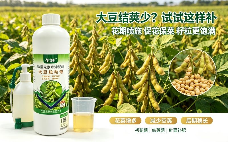 大豆结荚期这样管，告别瘪荚产量往上提