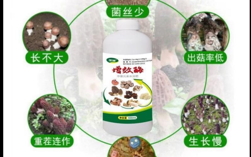 垄颖增效酶:唤醒土壤潜能,解锁作物高产密码