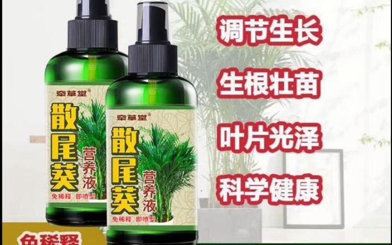 牵草堂散尾葵营养液:告别黄叶焦尖,唤醒满室绿意