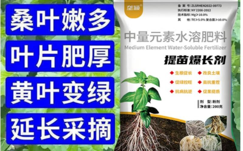 苗黄苗弱长势差?垄颖提苗爆长剂,7天让你看见真变化!