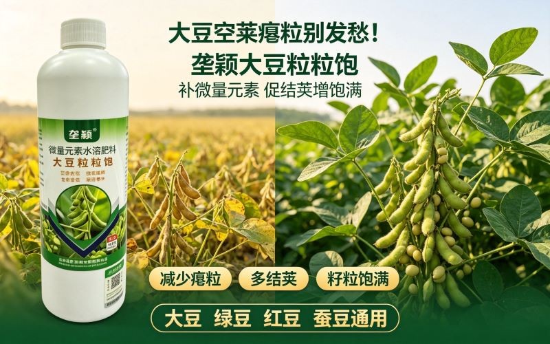 大豆空荚瘪粒别发愁!补对微量元素,豆粒粒粒饱满