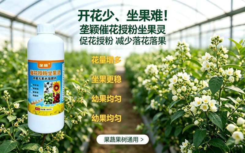 开花少、坐果难！用它促花保果，减少落花落果