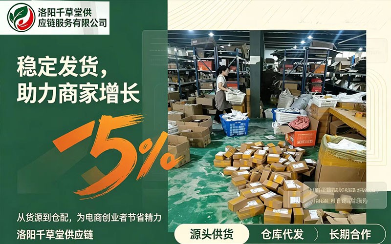 OEM 代工 + 数字化仓配托管 + 电商一件代发面向 B 端电商品牌直播商家初创品牌