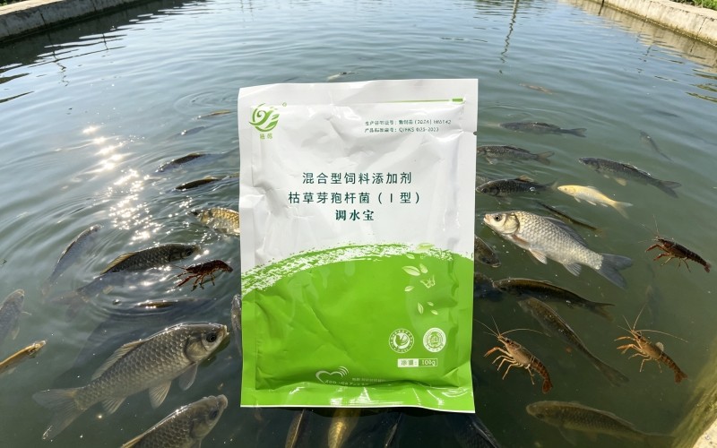 调水宝在虾塘中的实战效果——对虾养殖的“稳水神器”