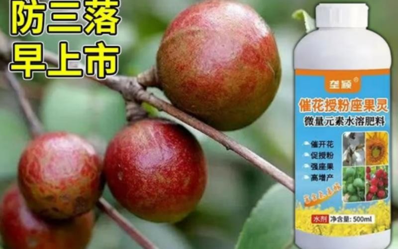 垄颖授粉坐果灵:让每一朵花都结出丰收的果