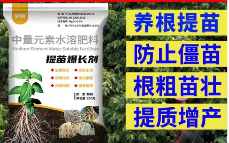 垄颖提苗爆长剂：唤醒作物潜能，赢在生长起跑线！