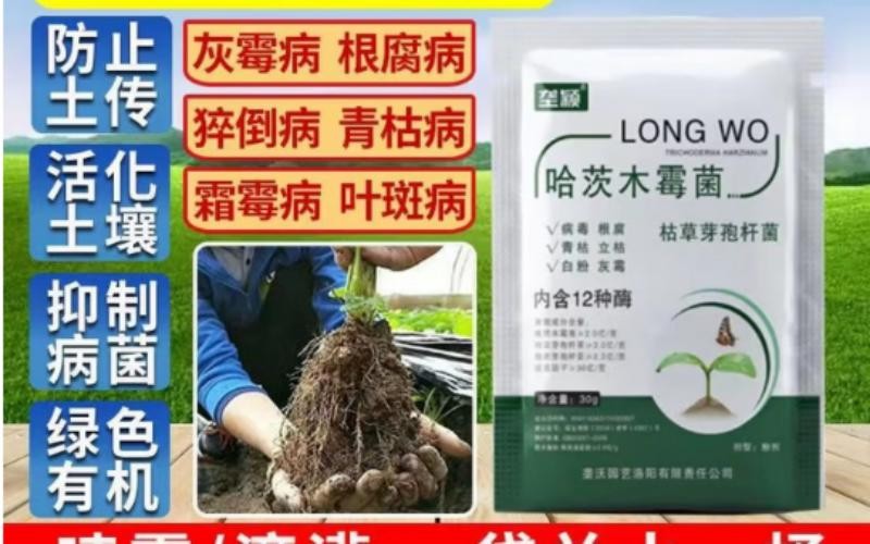 垄颖哈茨木霉菌:作物根系的“隐形守护者”,告别土传病害,养根壮苗更省心